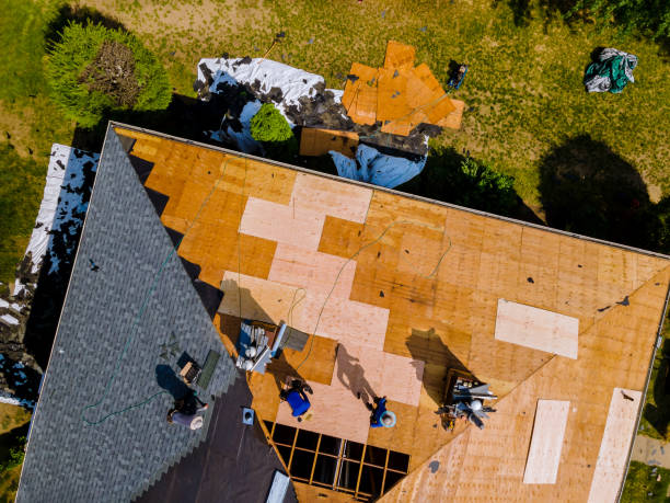 Quick and Trustworthy Emergency Roof Repair Services in Lake Butler, FL